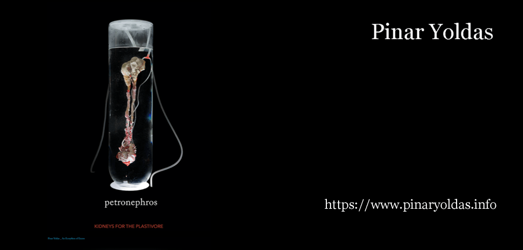 Acerca del libro Arte y Antropoceno (Davis & Turpin,&nbsp;2015)